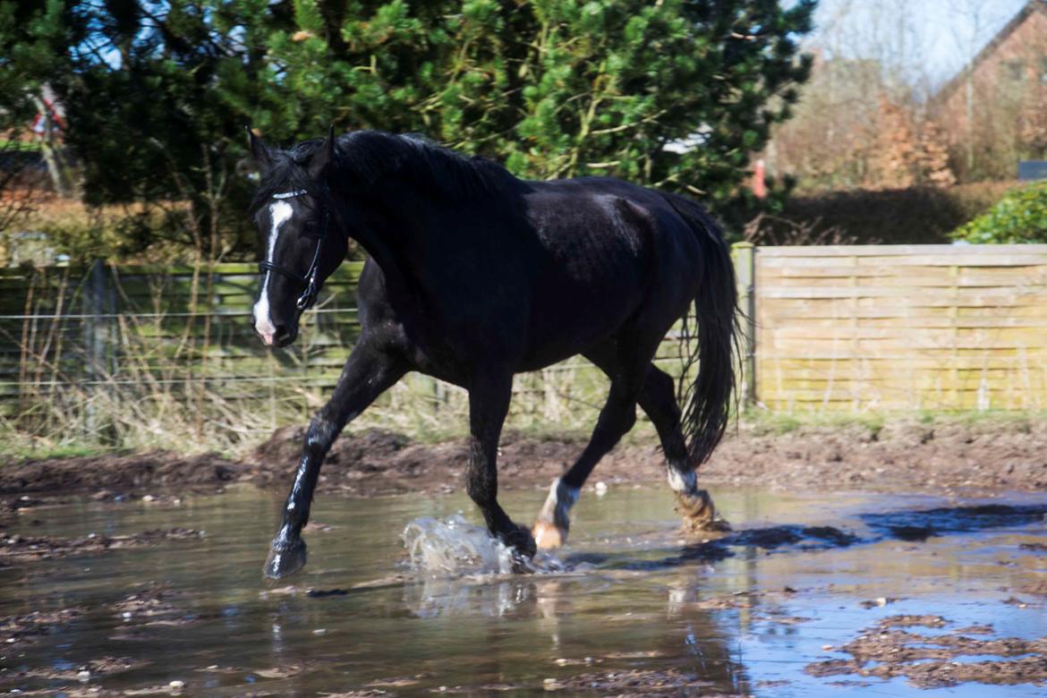 Oldenborg Gaya Hedegaard billede 2