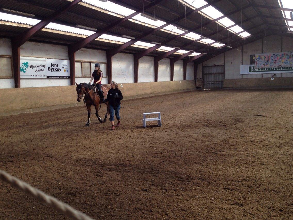 Sportsaraber (A) Aston Martin Takhises billede 2