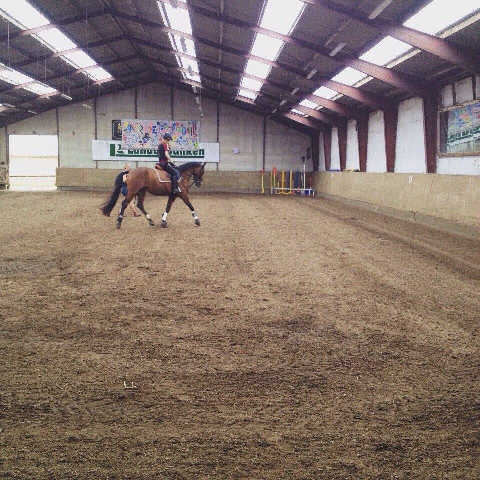 Sportsaraber (A) Aston Martin Takhises billede 3