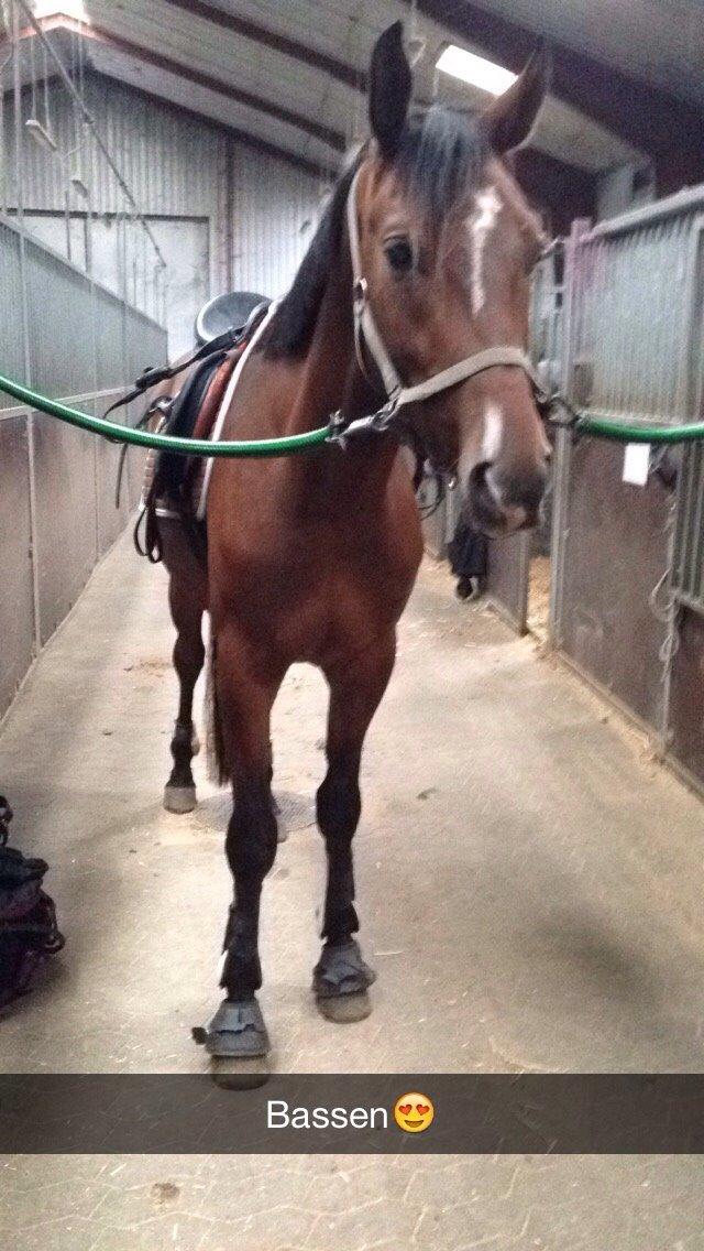 Sportsaraber (A) Aston Martin Takhises billede 4