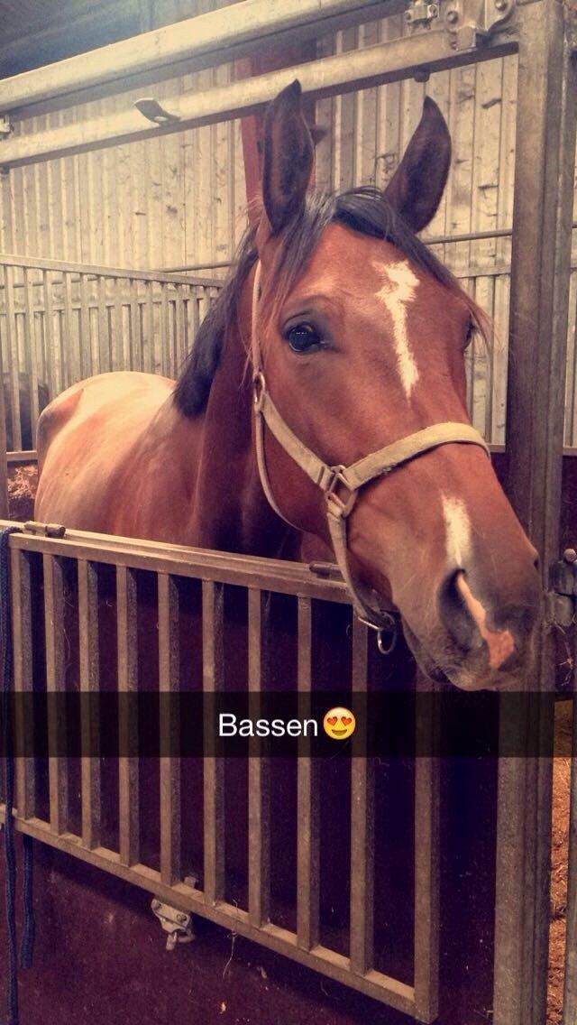 Sportsaraber (A) Aston Martin Takhises billede 8