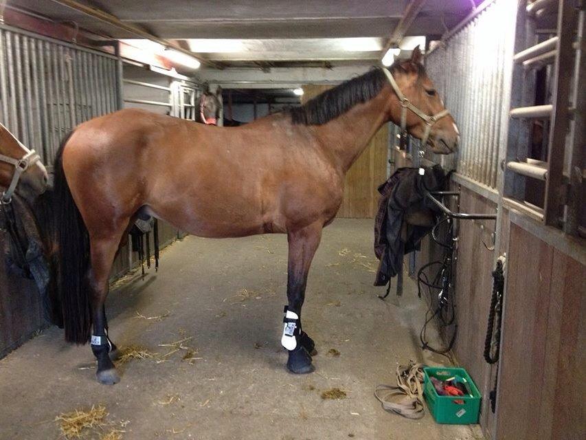 Sportsaraber (A) Aston Martin Takhises billede 9