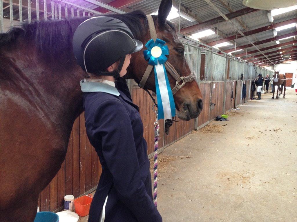 Dansk Varmblod Nødelunden´s Quite Temper/Flicka billede 12