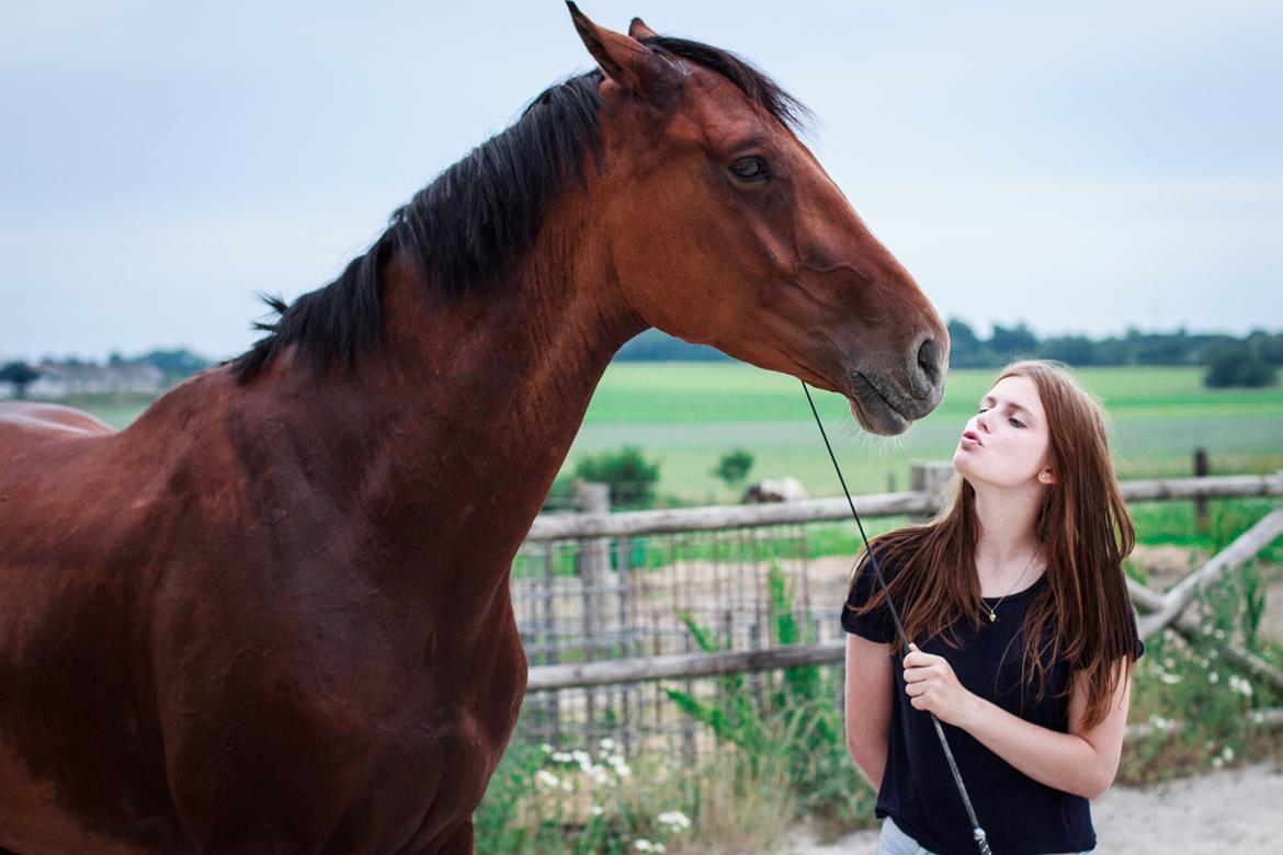 Dansk Varmblod A.B. Chico - Kisses<3 Fotograf: Ring fotografi billede 12