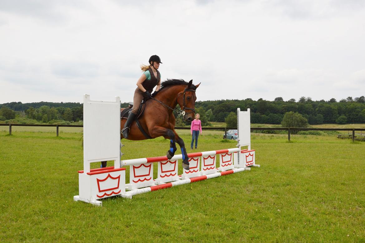 Oldenborg Classic carismo - Spring på Carismo - Juli 2015 billede 6