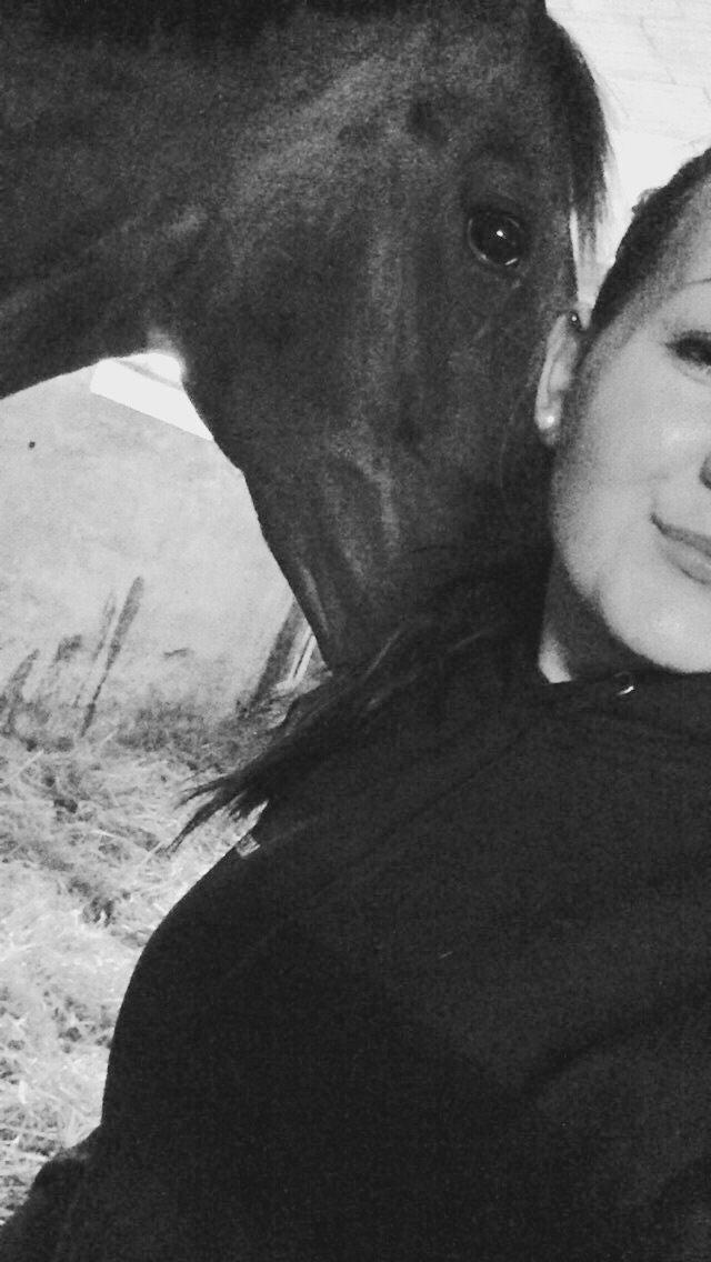 Tysk Oldenburger Terra X billede 7