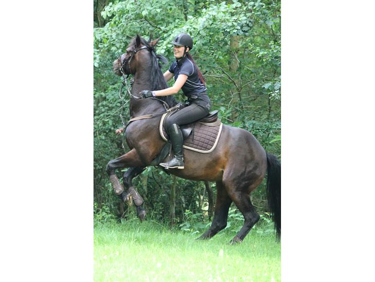 {{currentPhoto.altText}} billede {{currentPhoto.number}}