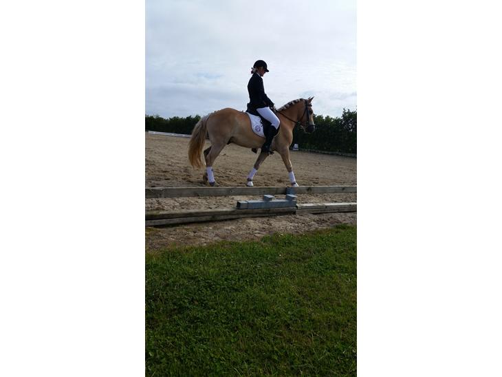 {{currentPhoto.altText}} billede {{currentPhoto.number}}