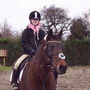 DSP Jægerbo´s Nicolette