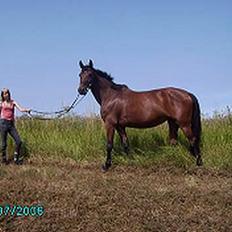 Oldenborg Møllevangs Felicia