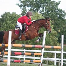 Anden særlig race | Nicko