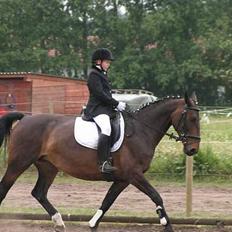 Oldenborg Lotte(solgt);