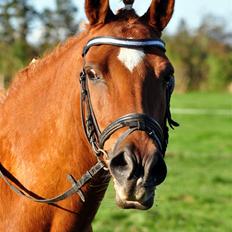 Anden særlig race fighter <3