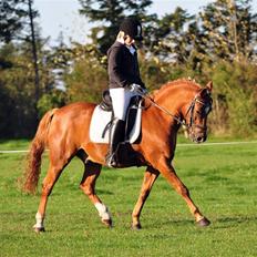 Anden særlig race fighter <3