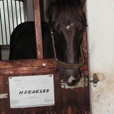 Frederiksborg Herakles