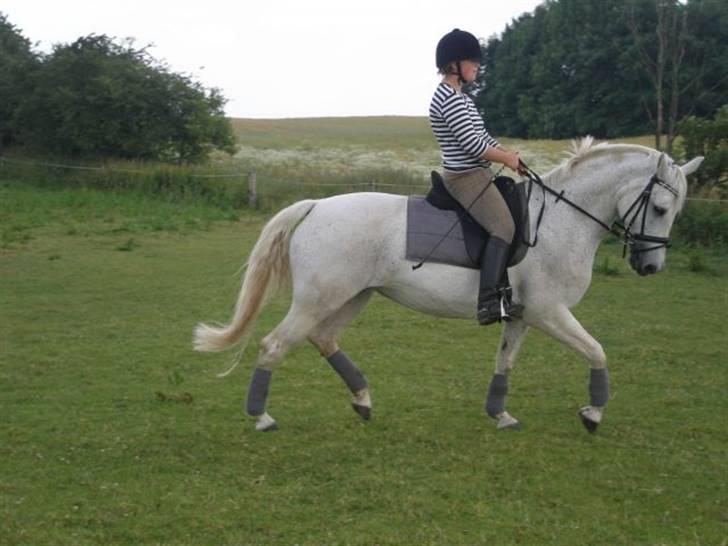 Anden særlig race Ronja SOLGT - mig og ronzen i VBR vi fik den røde rosette. Tihi så stolt<3 af sukkermusen billede 4