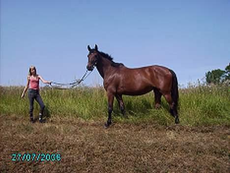 Oldenborg Møllevangs Felicia - Felicia sommeren 2006, smuk som altid :b billede 1
