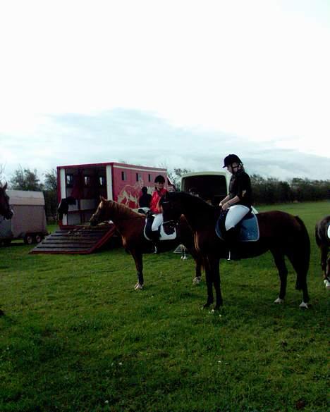 Oldenborg Møllevangs Felicia - Her stå vi og slapper lidt af, Felix var meget op og køre den dag, hun var tændt på at komme igang med jagten!  billede 5