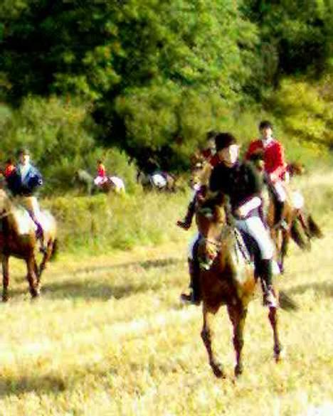 Oldenborg Møllevangs Felicia - Lige lidt skridt på marken, jeg undskylder kvaliteten, men de er taget med mobil. Håber i vil bære over med det.  billede 7