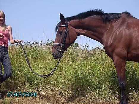 Oldenborg Møllevangs Felicia - Smuk, smuk, smuk :)  billede 9