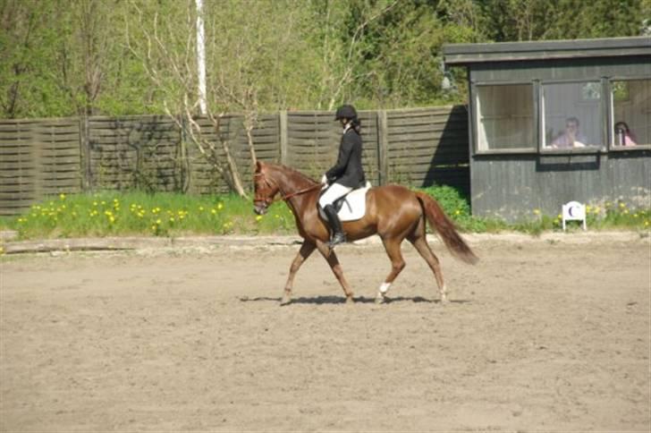 DSP Zoé Bredager billede 1