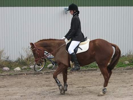 DSP Zoé Bredager billede 2