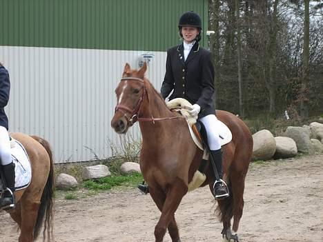 DSP Zoé Bredager billede 3