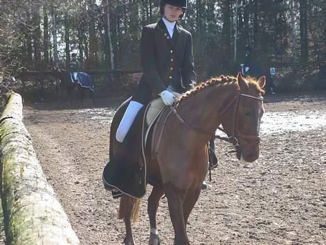 DSP Zoé Bredager billede 4