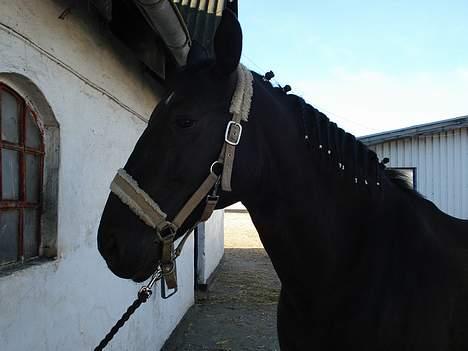 Oldenborg Bertha billede 16