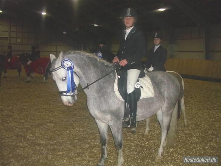 Anden særlig race Shadow B-pony "Solgt" :'( - inde til præmieoverrekelse distriktmesterskab for hold super flot 2 plads :) billede 8