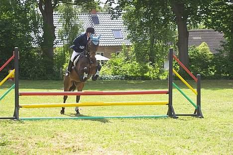 Dansk Varmblod Stjer´cerre AH - Kom og spring, vores første lc billede 2