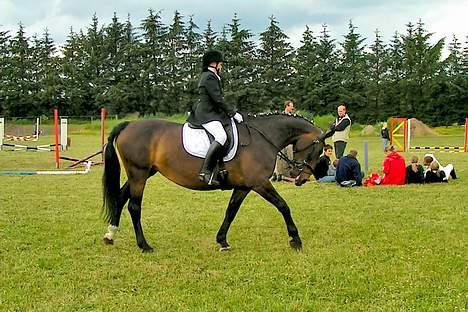 Oldenborg Lotte(solgt); billede 1