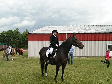 Oldenborg Lotte(solgt); billede 2
