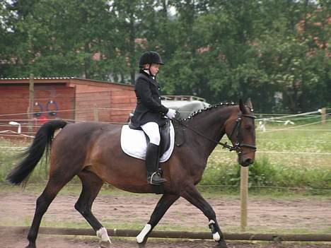 Oldenborg Lotte(solgt); billede 3