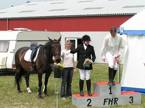 Oldenborg Lotte(solgt); billede 5