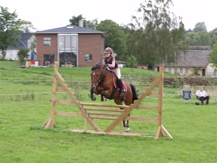 Anden særlig race | Nicko - *15* Katja og Nicko <3 Foto: Mig billede 15