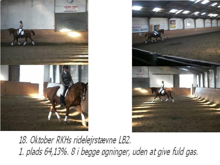 Hollandsk Varmblod OLEANDER - udf. frabedes! - LB2 RKH ridelejrstævne. Vi vandt med 64.13%. Taget fra video [Fotograf: Maria - Silkes rytter] billede 4