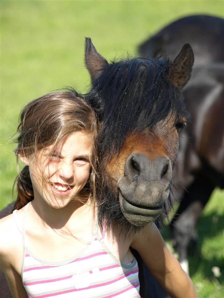 Dartmoor Beauty Star Rice  - Beauty og Ida :o)  - Makker paret EVIGT :D billede 2