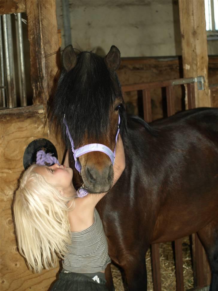 Dartmoor Beauty Star Rice  - Sofie og Beauty :o) - Dejligt med en pige der elsker hendes nye pony SÅ meget :D ... så er det nemmere at sælge sin prinsesse (L) billede 3
