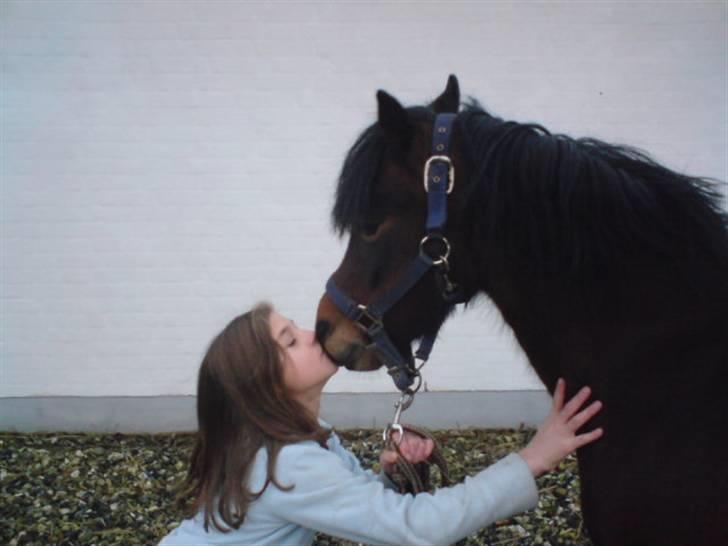 Dartmoor Beauty Star Rice  - Ida og Beauty nusser ;) billede 11