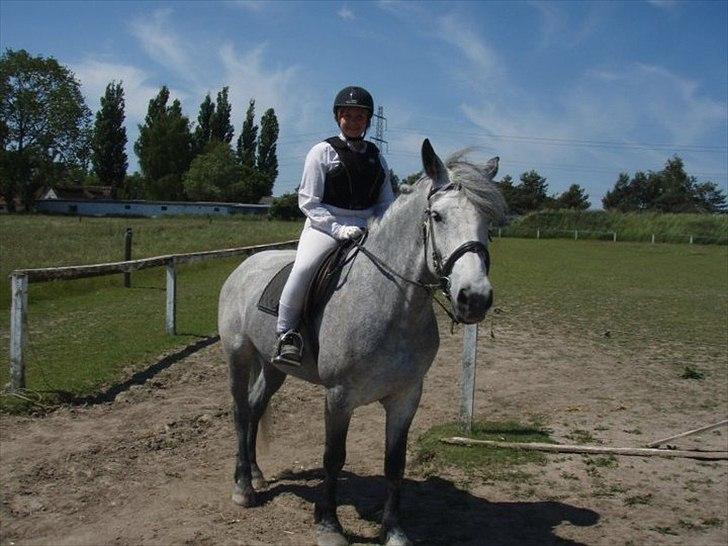 Anden særlig race Beauty  - Inden vi skal ind på banen :) billede 4