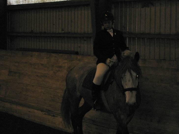 Anden særlig race Beauty  - Hun spændte desværre rigtig meget op, men vi fik da 68,15% så helt galt gik det ikke ;) (foto: Min mor) billede 5