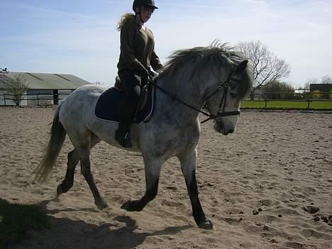 Anden særlig race Beauty  - Super dejlig! (Foto: Eva B) billede 7