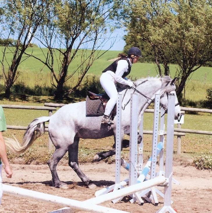 Anden særlig race Beauty  - Vi springer omkring 70 til træning, men jeg er glad for jeg tog kryds, for hun havde godt nok knald i rumpen x] (foto: Peter) billede 8