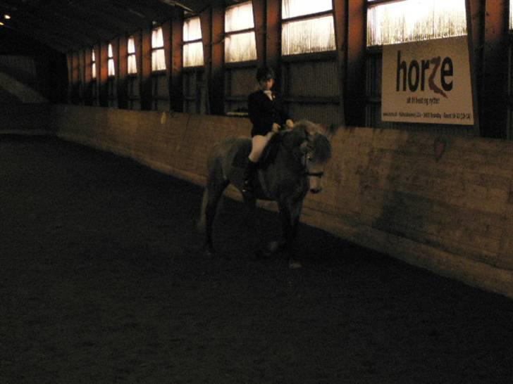 Anden særlig race Beauty  - Vi fik lige lov til at kigge på publikum først ^^ (foto: Min Mor) billede 11