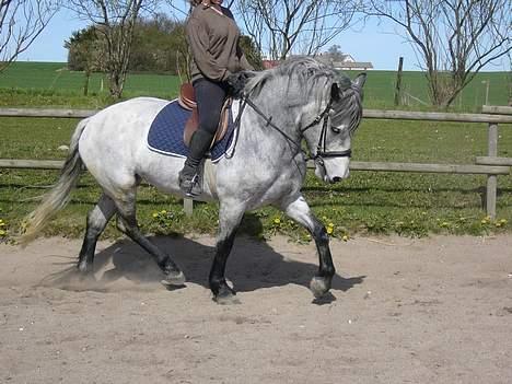 Anden særlig race Beauty  - Prøv at lægge mærke til hendes indvendige bagben :P (Foto: Eva B) billede 13