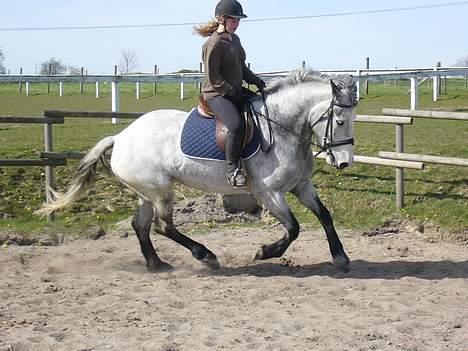 Anden særlig race Beauty  - Galop :) (Foto: Eva B) billede 15