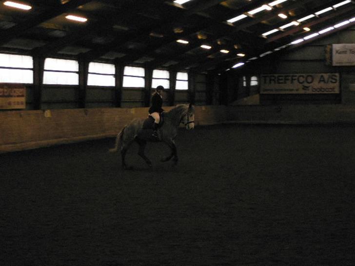 Anden særlig race Beauty  - Lidt sløret - vi rider galop ;) (foto: Min mor) billede 16