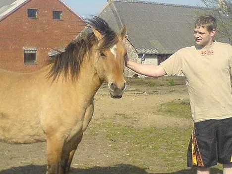 Anden særlig race Musse R.I.P:'( - billedet taget d 15 April. billede 8