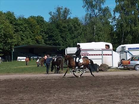 DSP Design - Mig og Design til Stævne i Parken...<3 billede 3